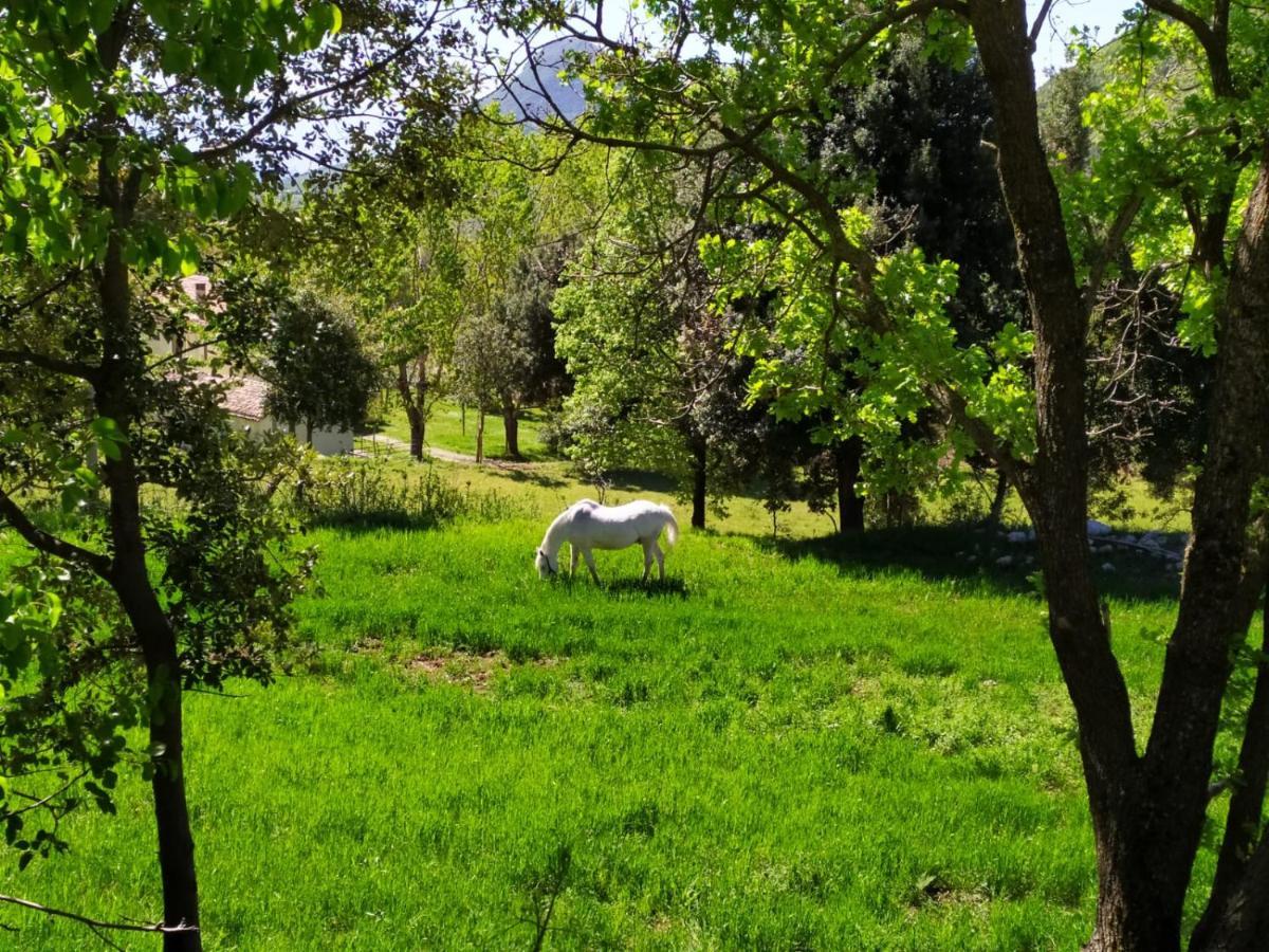 Agriturismo Colloreto Morano Calabro Eksteriør billede