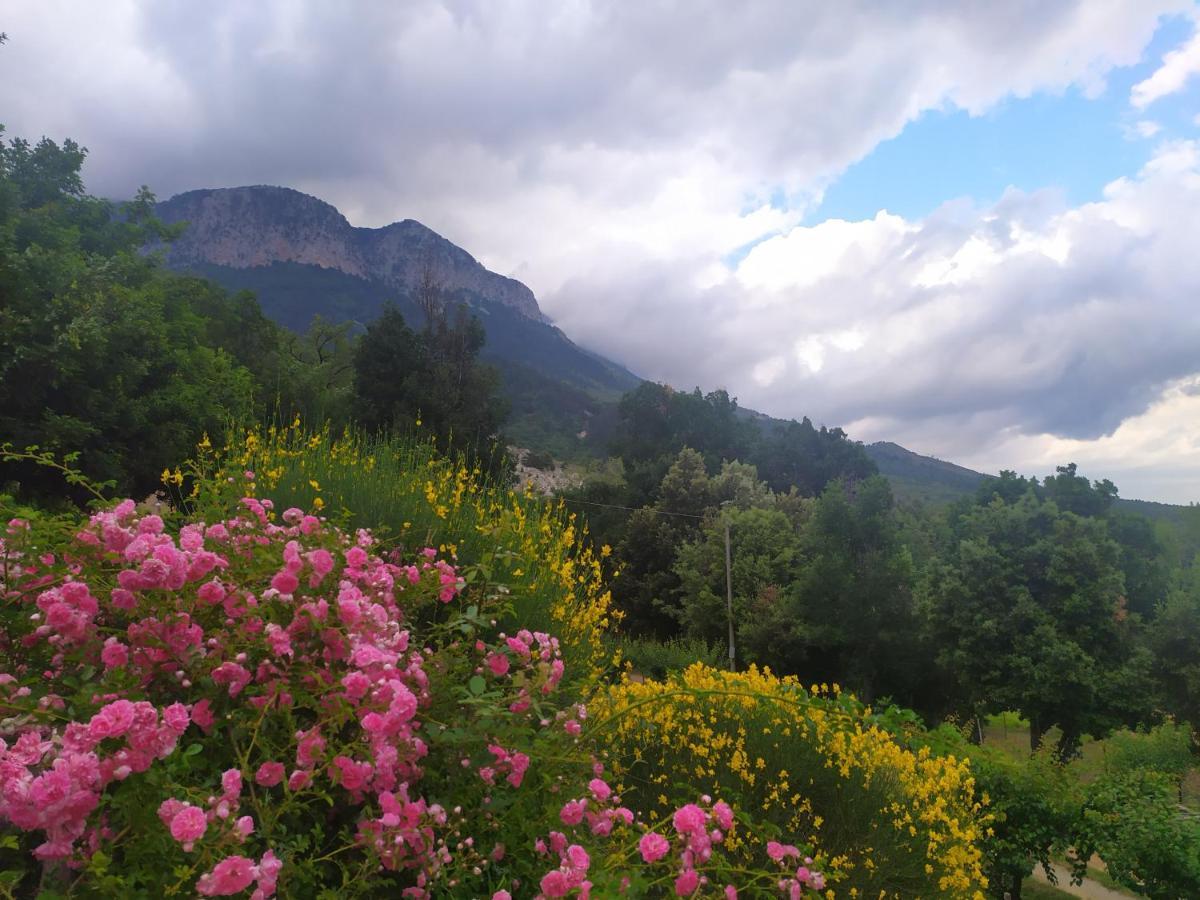 Agriturismo Colloreto Morano Calabro Eksteriør billede