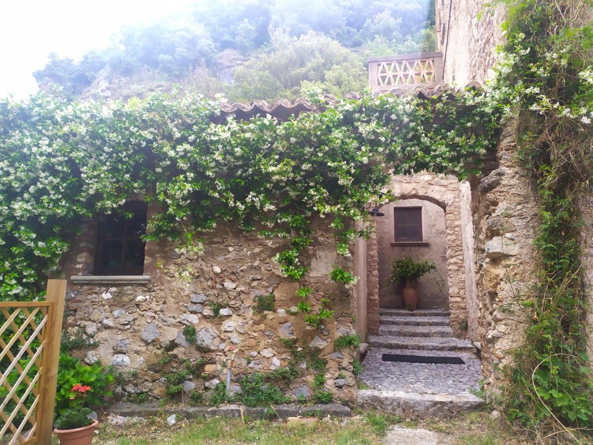 Agriturismo Colloreto Morano Calabro Eksteriør billede